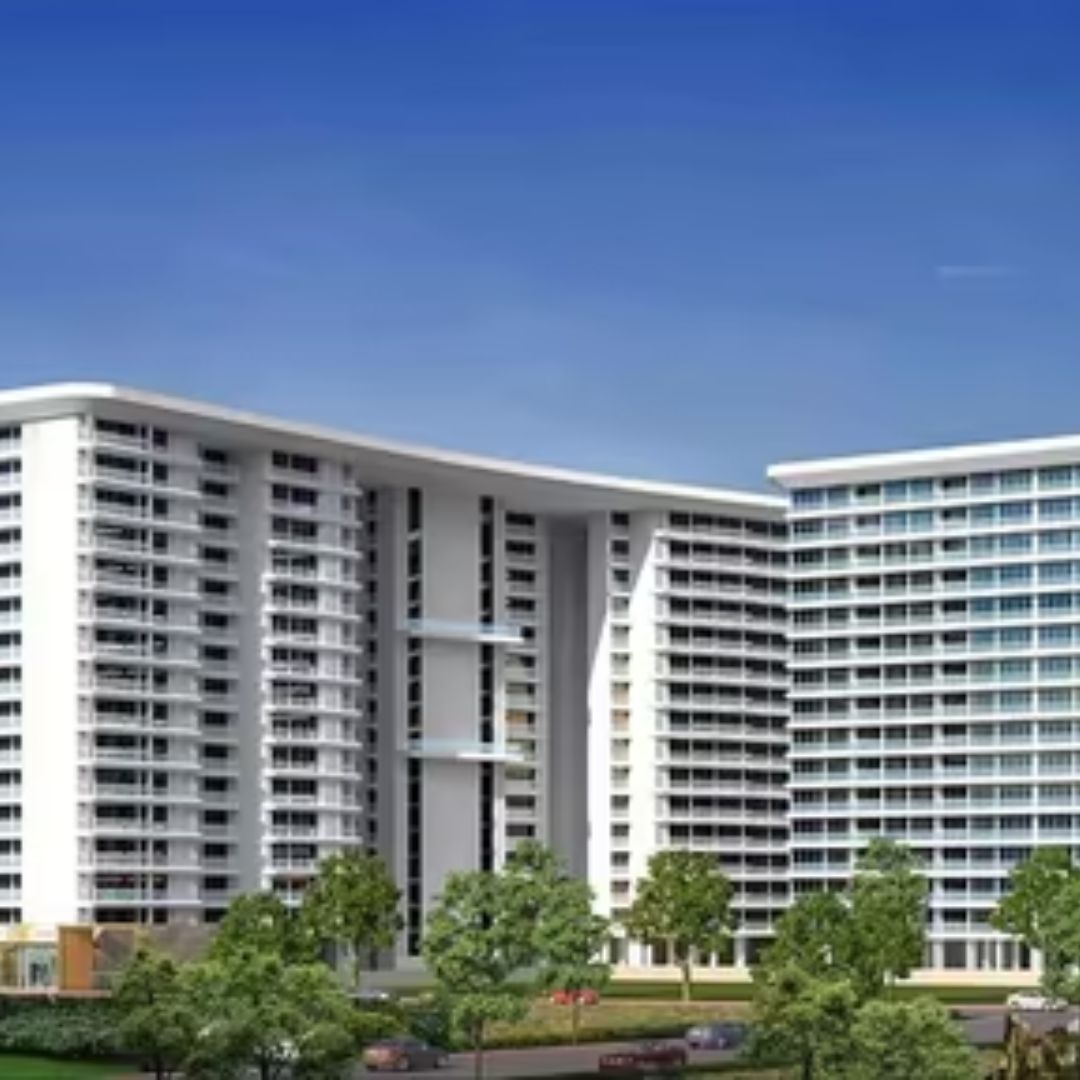 Vision Palm Amore House