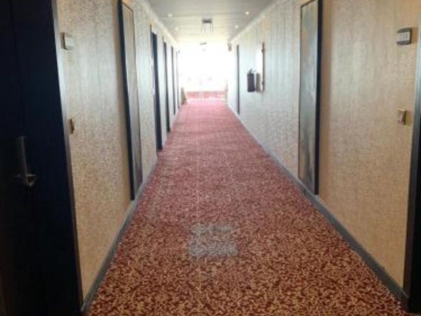 Delphinium Residency Bangalore