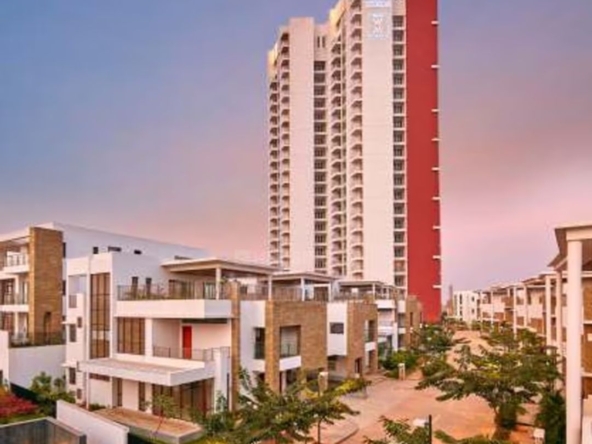 Prestige White Meadows