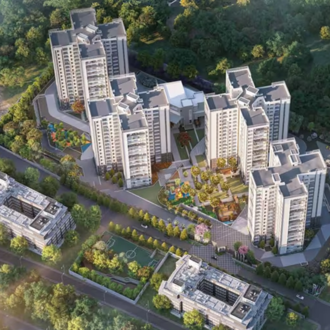 Prestige Pine Forest