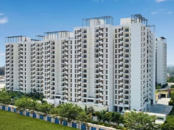 Tata New Haven