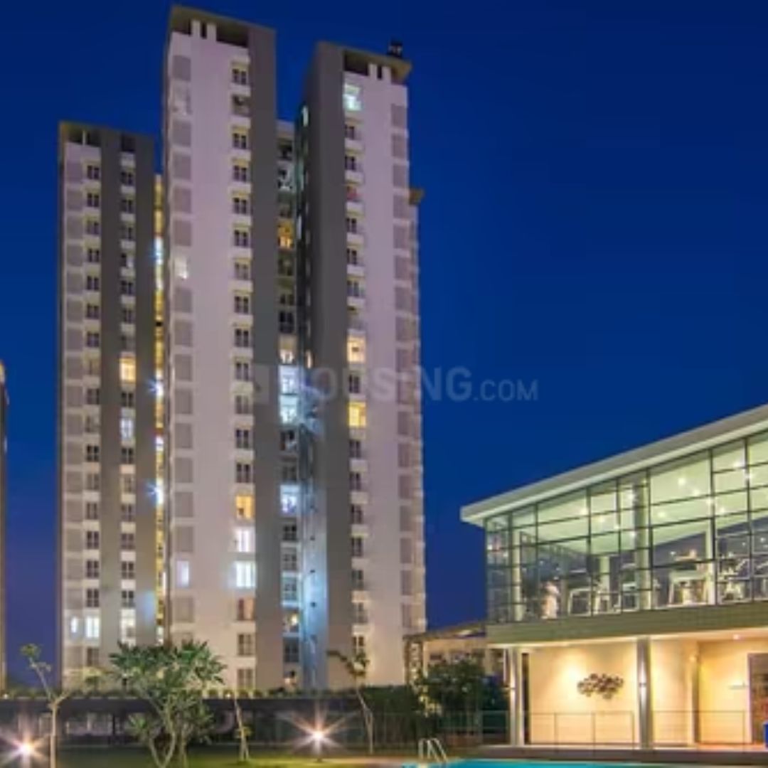 Alembic Urban Forest