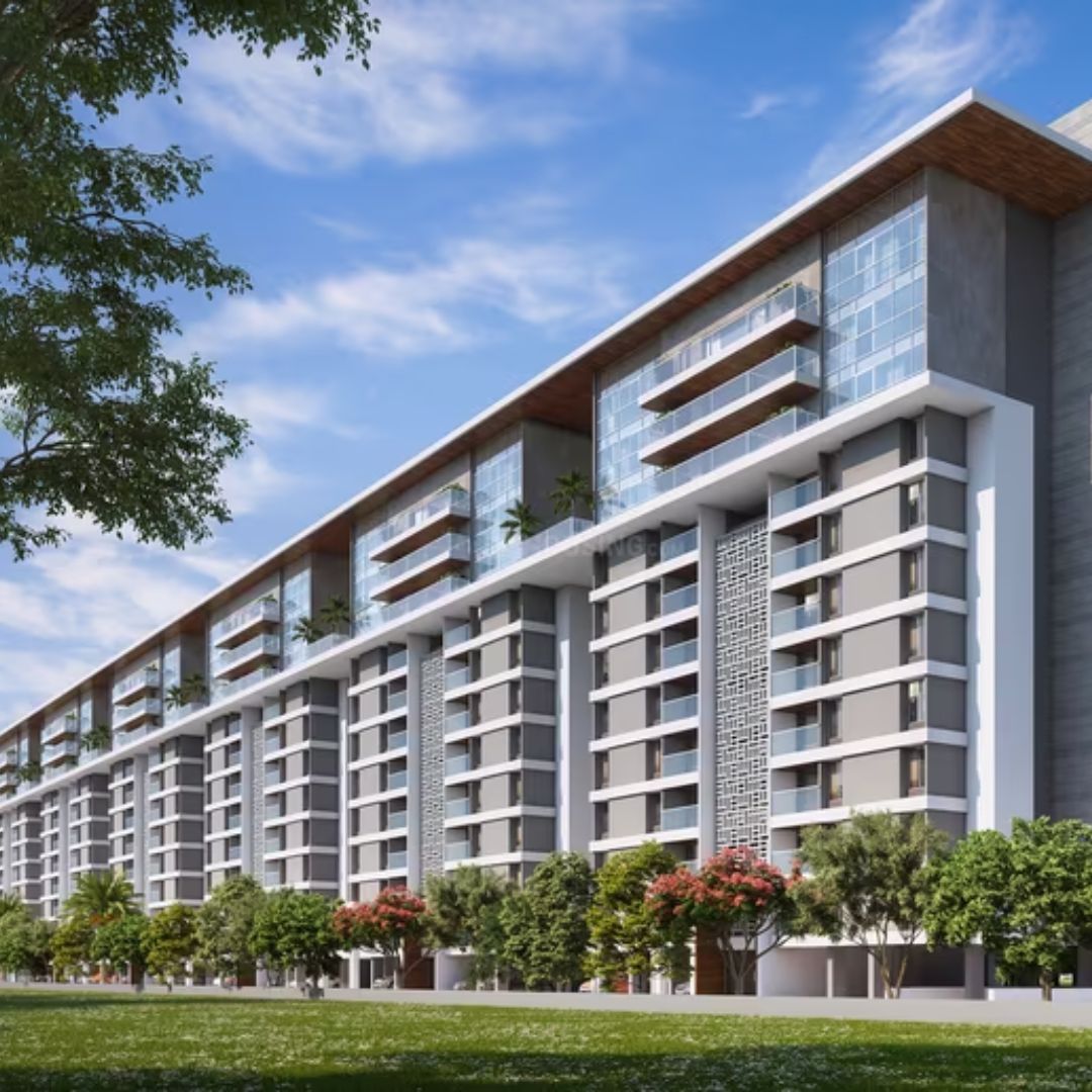 Majestique Ephelia Kondhwa