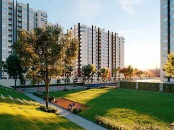 Embassy Verde