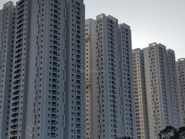 my home tarkshya