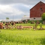 mythri farms