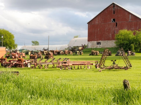 mythri farms