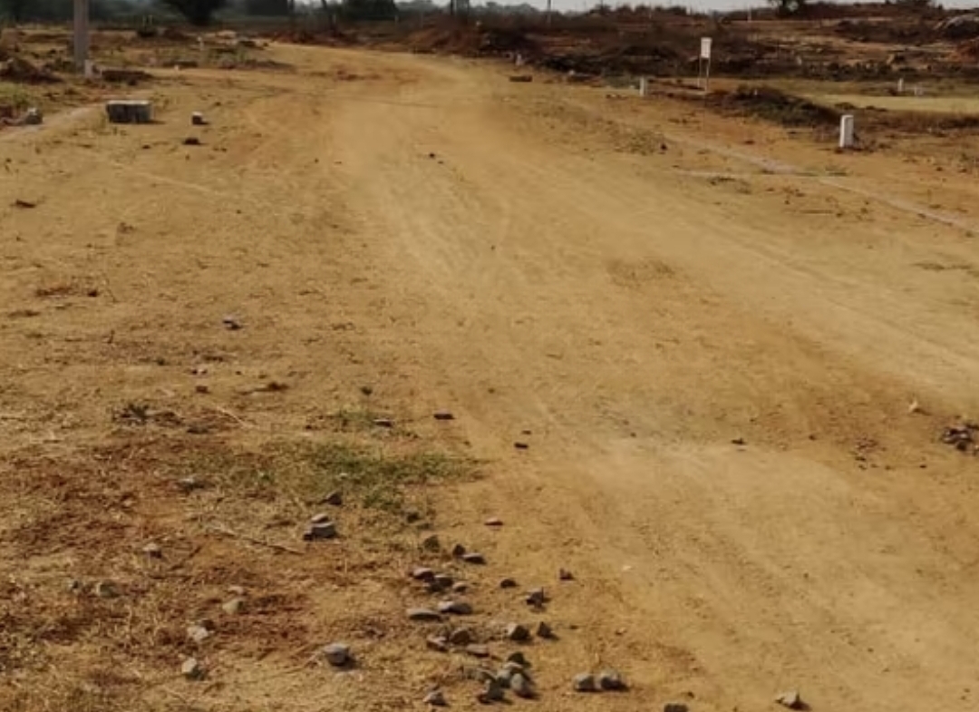 virtusa celosia nest