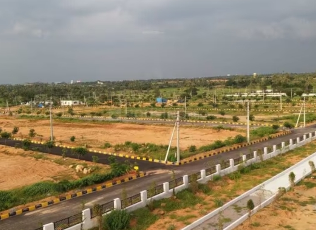 alekhya nsr county phase 3