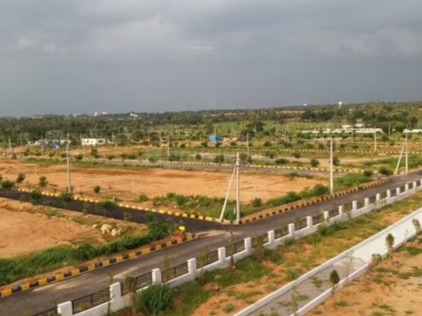 alekhya nsr county phase 3