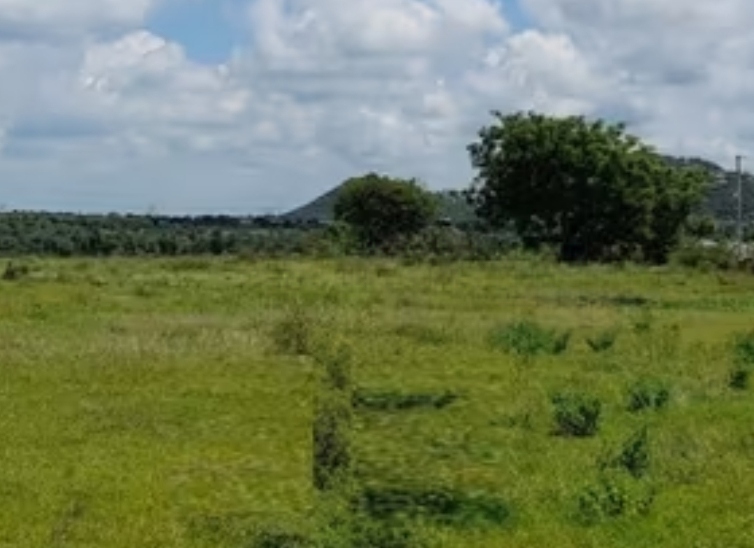 gks renuka highway city