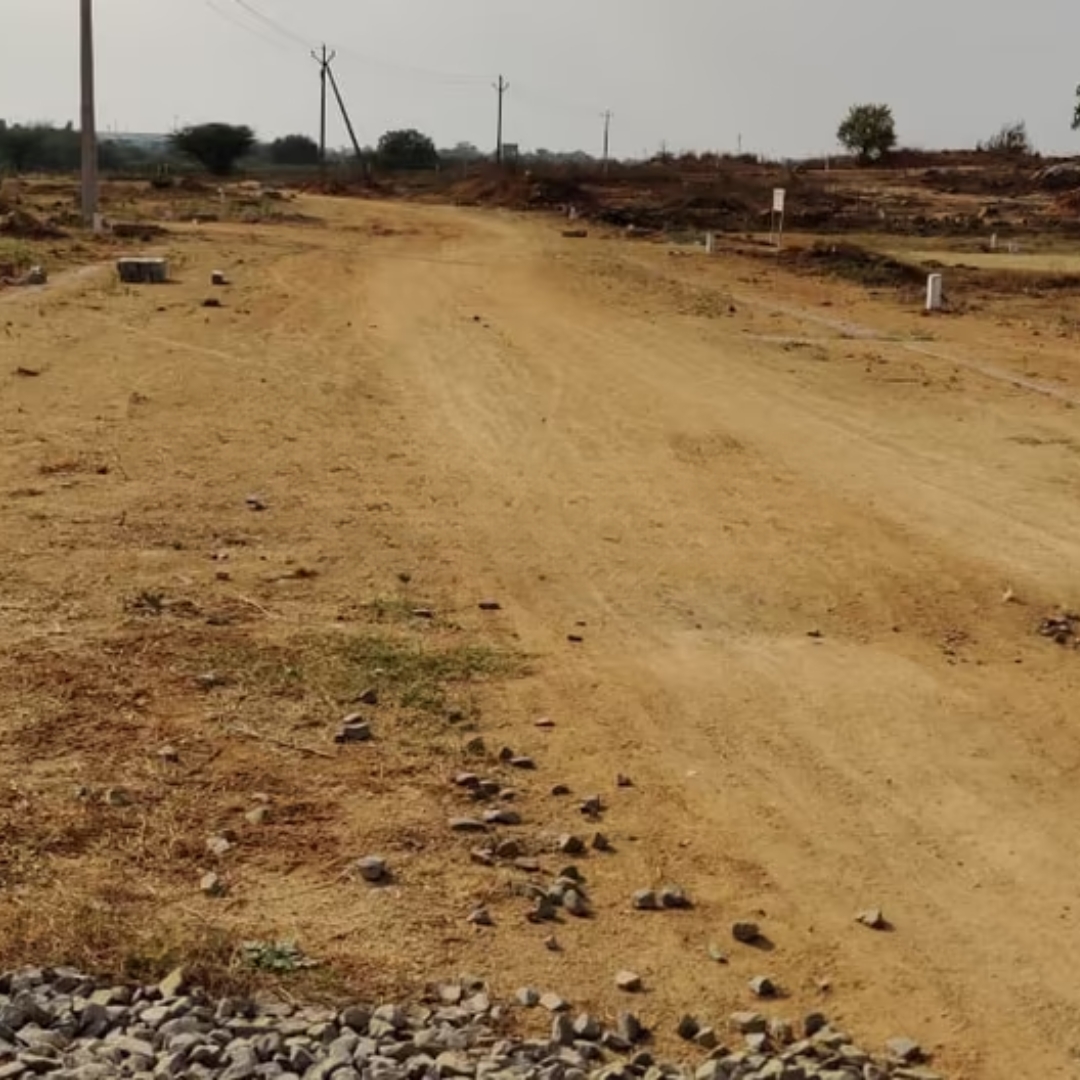 virtusa celosia nest