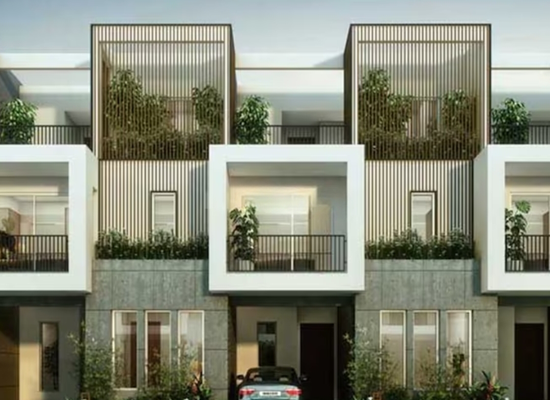 assetz soul and soil