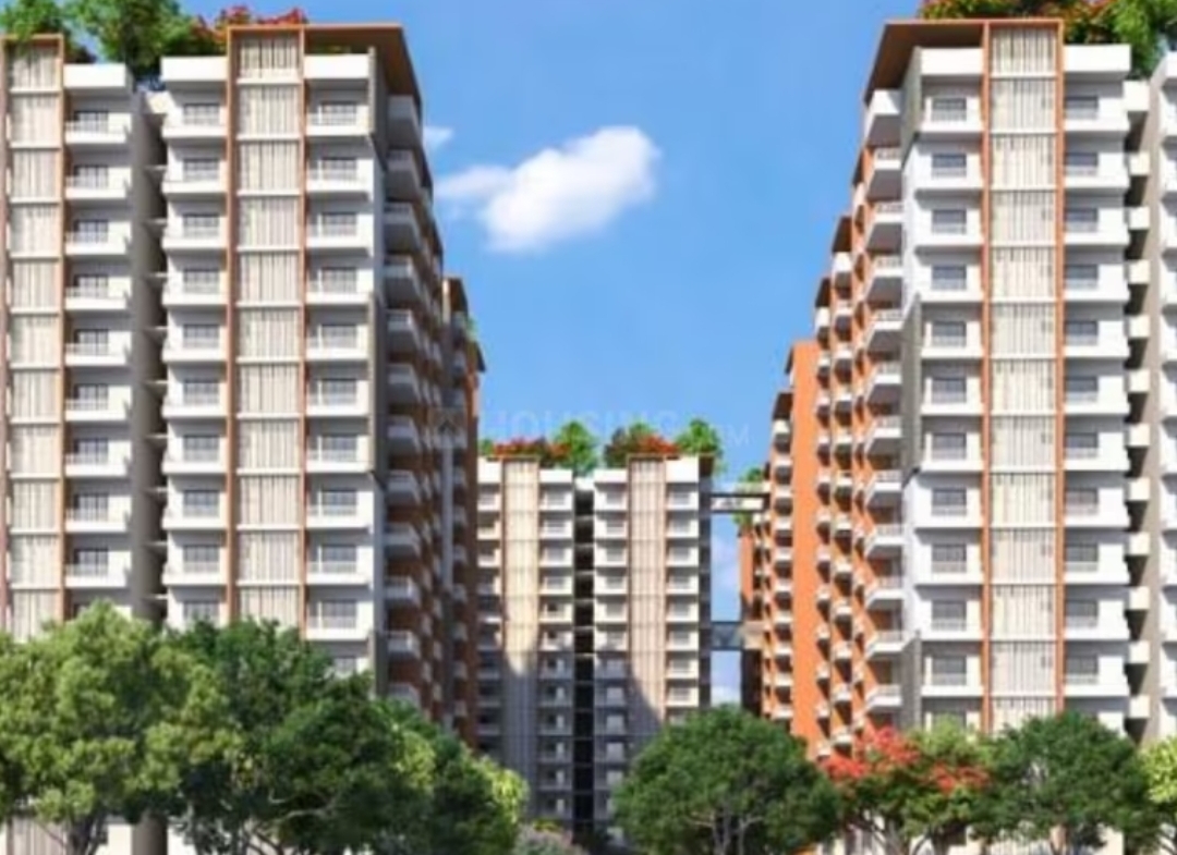 Hallmark Skyrena Flyer