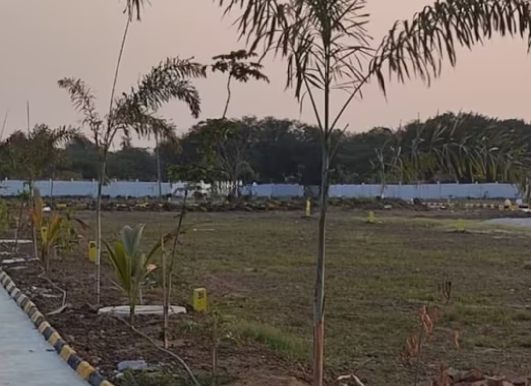 Sunirse Infra Nature Golden Highway