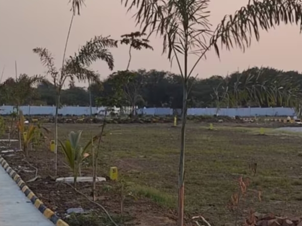 Sunirse Infra Nature Golden Highway