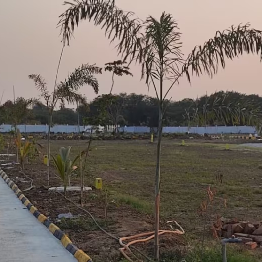 Sunirse Infra Nature Golden Highway