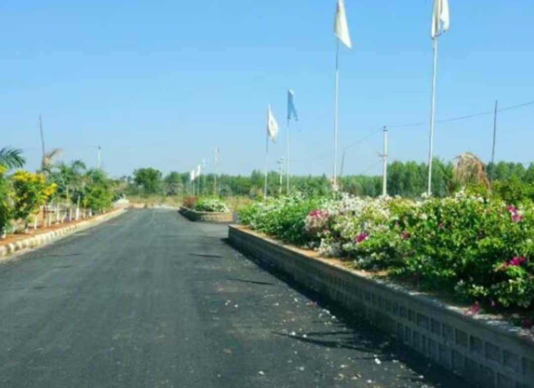 bhashyam pioneer county