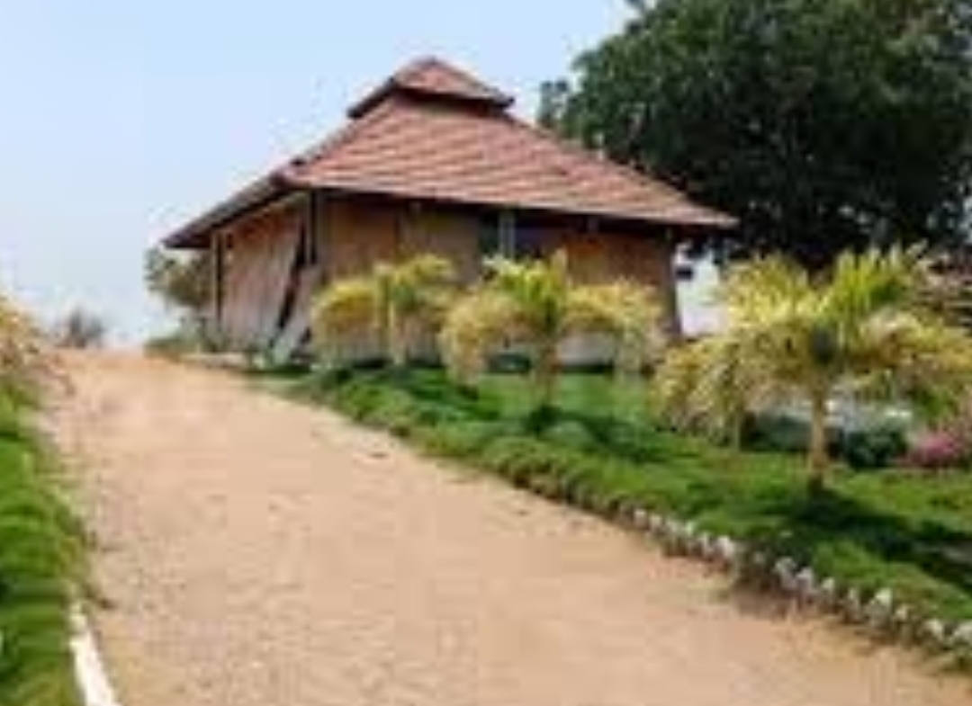 suchirindia oyster blue