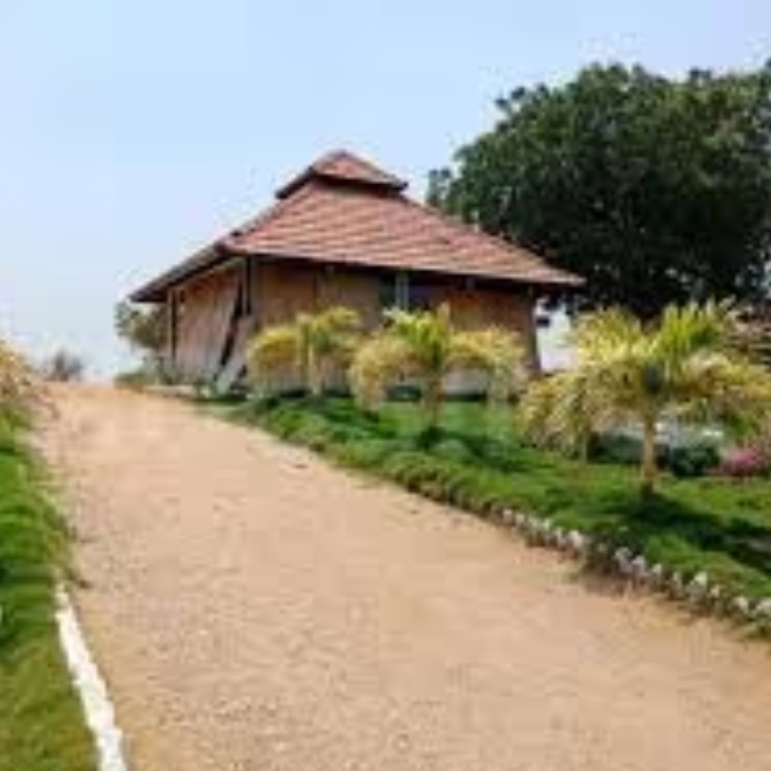 suchirindia oyster blue