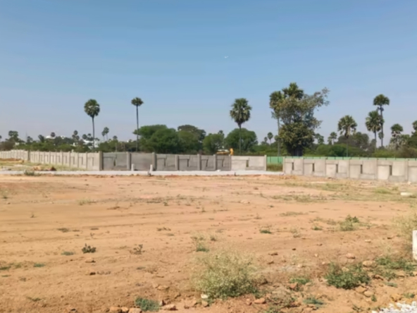 Dream land Kongarkalan