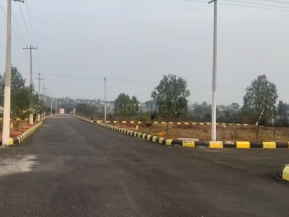 nature golden galaxy phase i