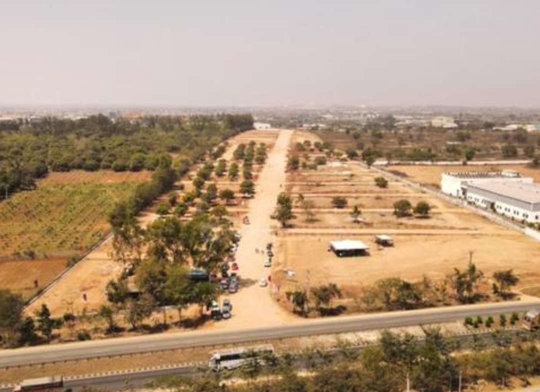 the highway orchards