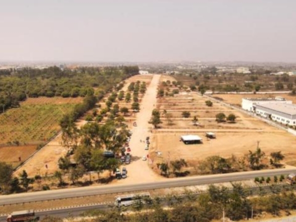 the highway orchards