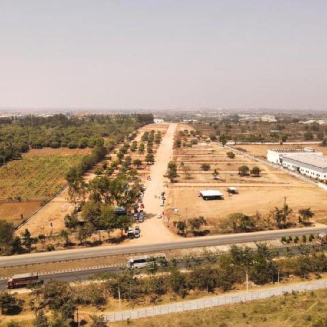 the highway orchards