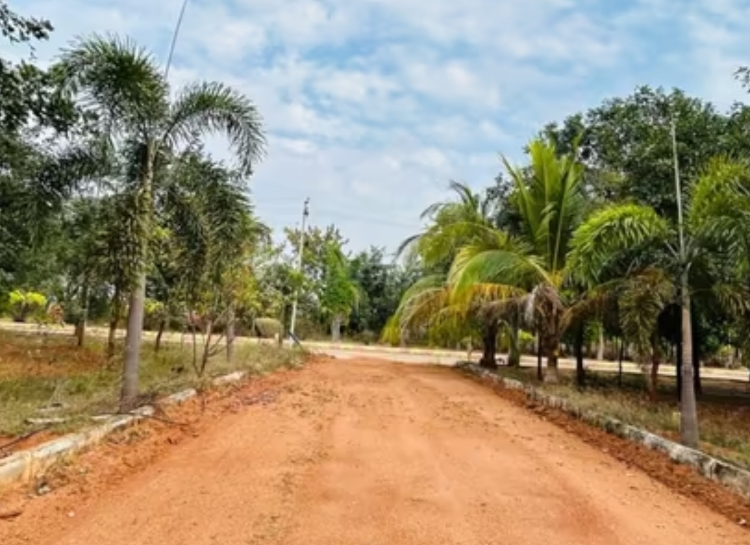 Sampangi Reality The Green Ridge