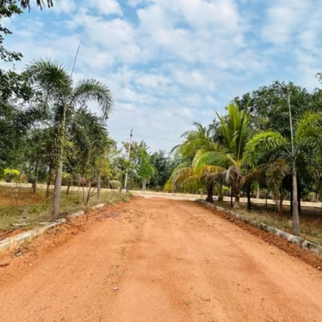 Sampangi Reality The Green Ridge