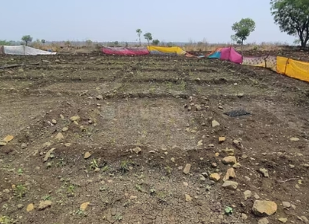 sampangi reality the treasure valley