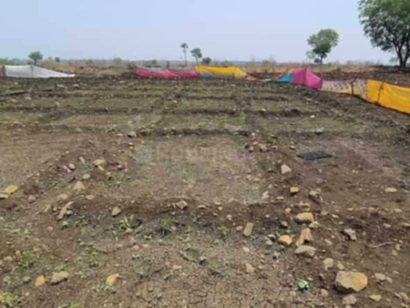 sampangi reality the treasure valley