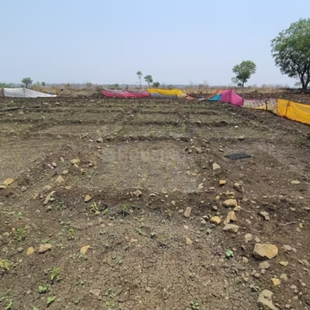 sampangi reality the treasure valley