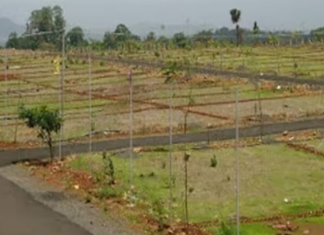 Varunis Hallmark Ventures