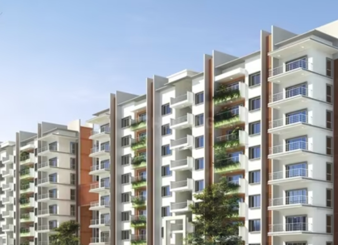 saran mulberry woods