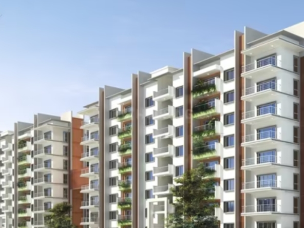 saran mulberry woods