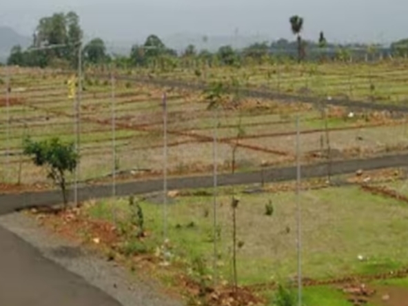 Varunis Hallmark Ventures