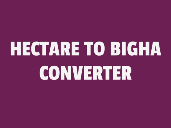 hectare to bigha