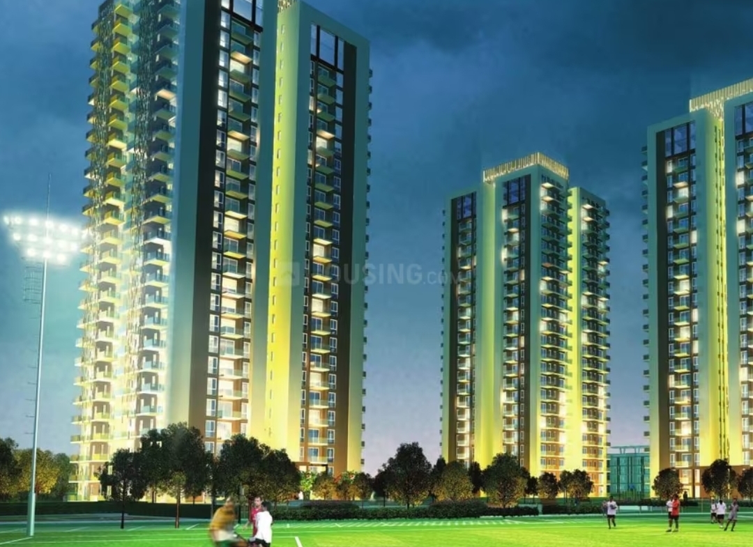 Conscient Heritage One