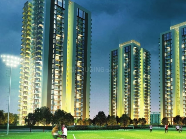 Conscient Heritage One