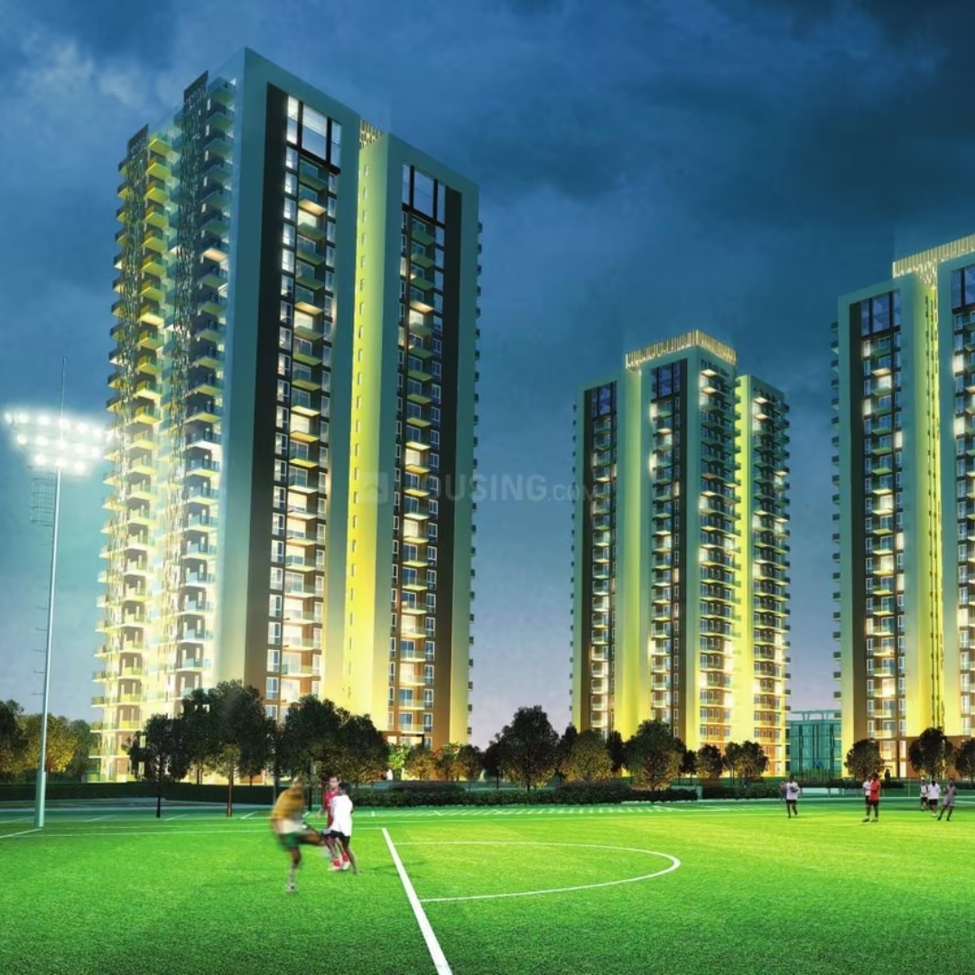 Conscient Heritage One