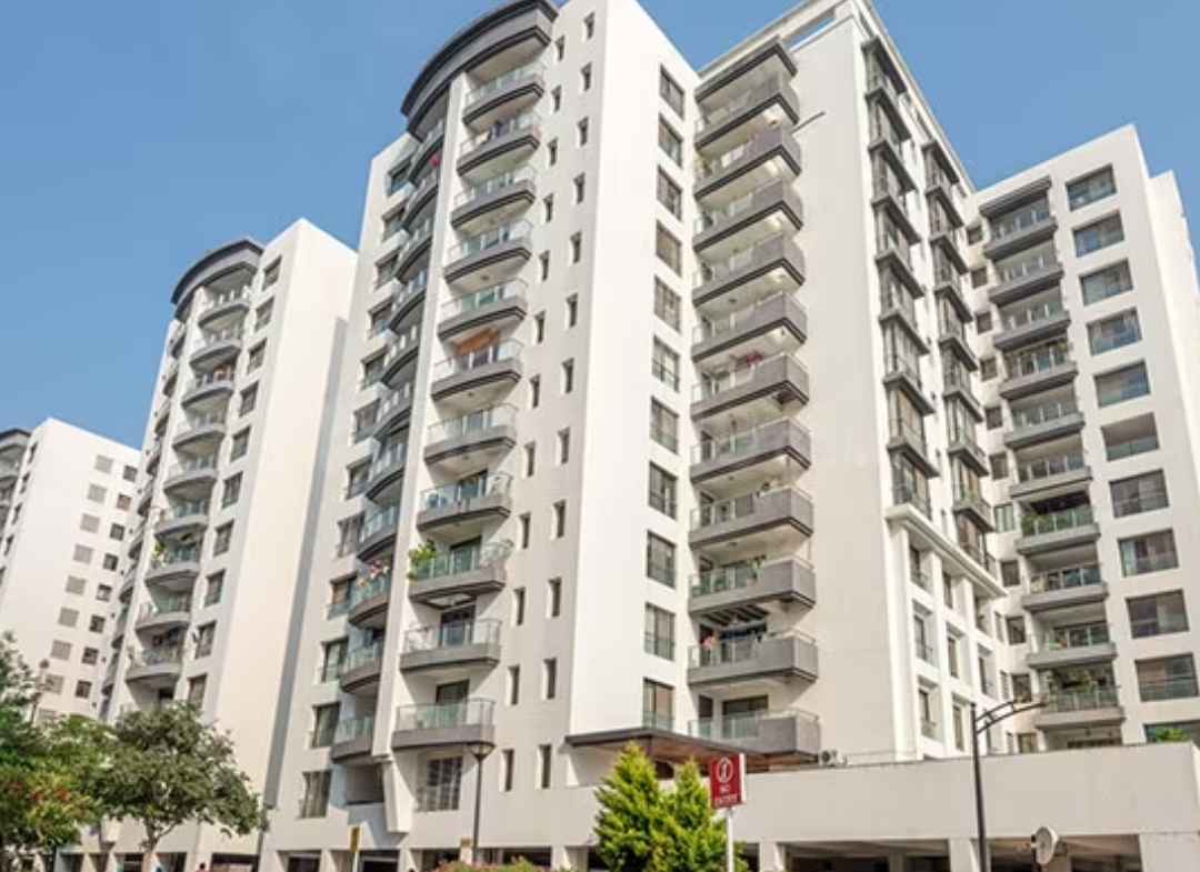 Pride Purple Park Titanium