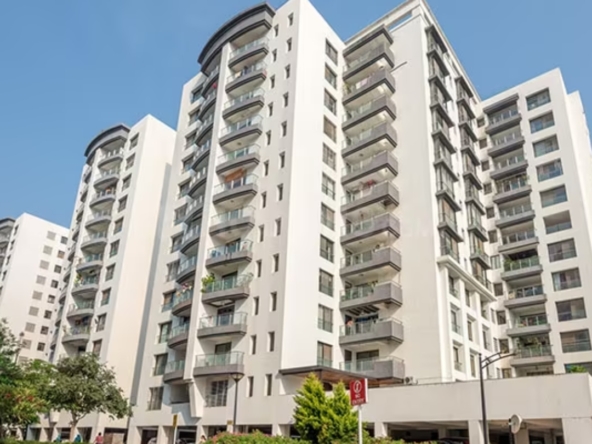 Pride Purple Park Titanium