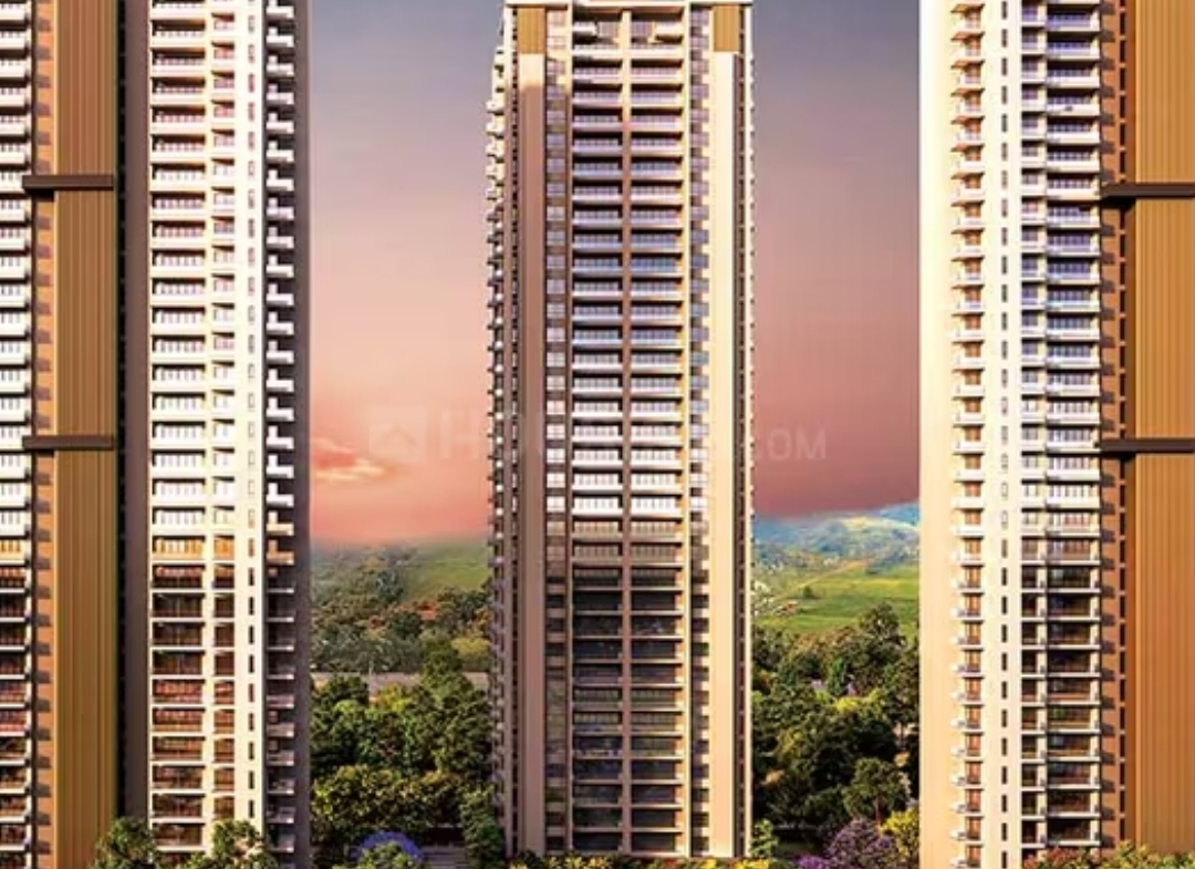 Silverglades Legacy