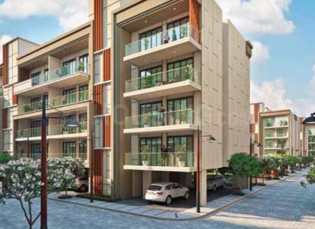 Signature Global City Sector 37D 2BHK