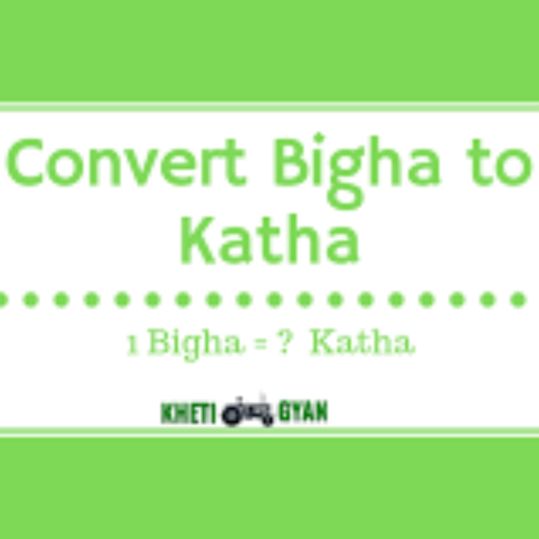 katha to bigha