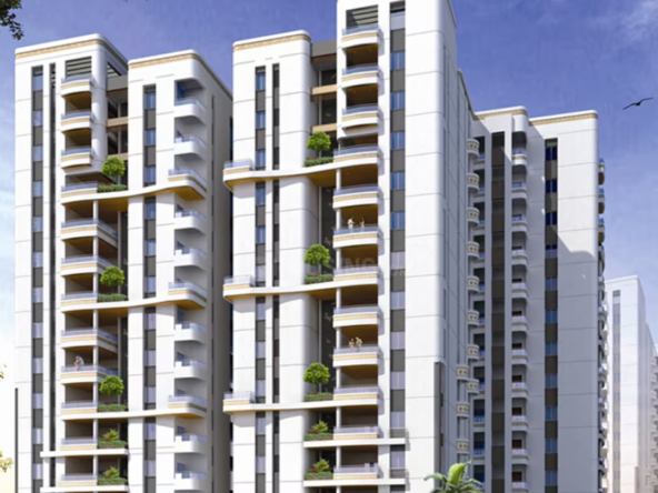 NCC Urban Gardenia