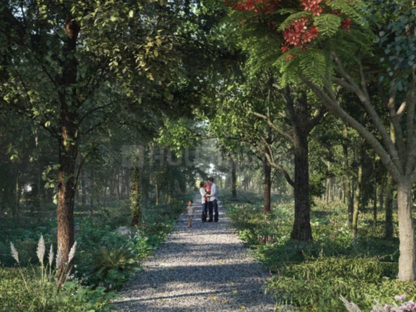 Godrej Woodland