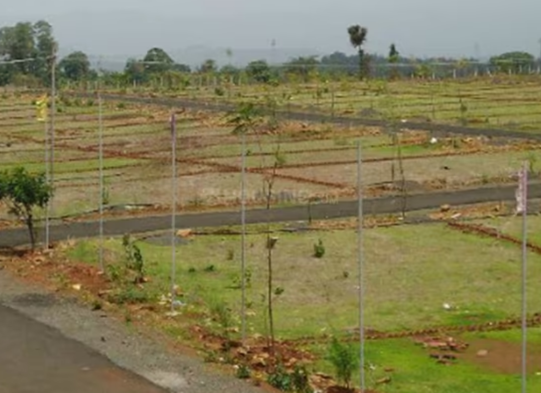 Amulya Green Valley